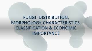 Fungi Distribution Morphology Characteristics Classification amp Economic Importance [upl. by Joellyn591]