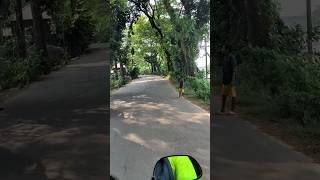 Drive slow and enjoy the scenery drive fast and join the scenery travelvlog nature viralshort [upl. by Garland]