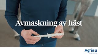 Avmaskning av häst [upl. by Enial]