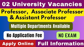 Assistant Professor Vacancy 2024  02 University Vacancies  Associate Professor  Professor job [upl. by Karie]