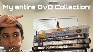 My entire DvD Collection VideoDvDMatterzzz [upl. by Hametaf238]