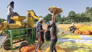 एक बीघा में कितना मक्का निकलता है।। Maize 🌽🌽 Crop farming in Indian villages [upl. by Mikah754]