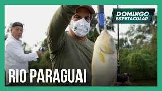 50 por 1 Álvaro Garnero explora a beleza das águas do Rio Paraguai em Corumbá MS [upl. by Terti]