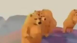 Dancing Bear viral meme • 1080p HD• MEME TEMPLATE• 2020 meme bearmeme [upl. by Sarajane88]