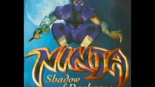 Ninja Shadow of Darkness Soundtrack 32 [upl. by Norabal]