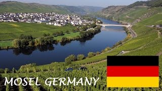 Mosel Wine tourism German Riesling Wine Moselle Valley Germany wines DeutschlandTourismus Travel [upl. by Eimarrej]