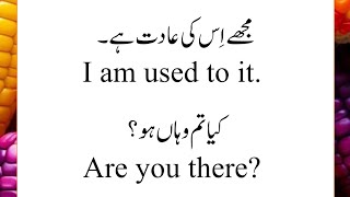 Basic English Speaking Sentences With Urdu Translation english [upl. by Mayrim258]