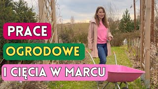 MARZEC W OGRODZIE  prace ogrodowe przycinamy róże [upl. by Laeynad108]