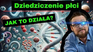 Dziedziczenie płci⚡ Dziedziczenie Daltonizmu i Hemofilii🤓 Dziedziczenie grup krwi🔥 genetyka klasa 8 [upl. by Sorgalim]