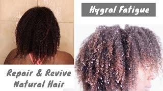 Hygral Fatigue  Natural Hair Damage  How To Prevent amp Fix [upl. by Teloiv]