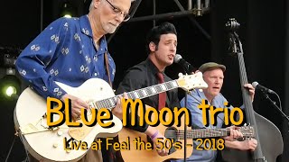 Blue Moon Trio at Feel the 50s 2018 [upl. by Lectra]