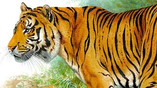 Is the Javan Tiger Still Alive [upl. by Nivled]