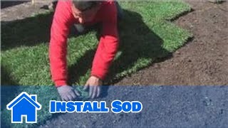 Lawn and Yard Help  How to Install Sod [upl. by Remde]