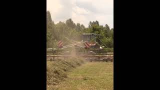 Proses haymaking jerami dengan tedder machine [upl. by Dougald]