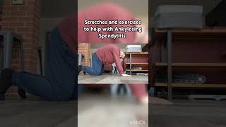 Stretches and exercises to help with Ankylosing Spondylitis health exercise stretch cat back [upl. by Rodolphe]