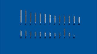 polymerase chain reaction [upl. by Ruprecht]