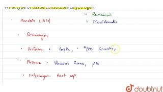 What type of tissue constitutes calyptrogen  11  ANATOMY OF FLOWERING PLANTS  BIOLOGY  PRADE [upl. by Rigdon]