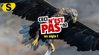 Ceci nest pas un aigle 92 [upl. by Yde5]