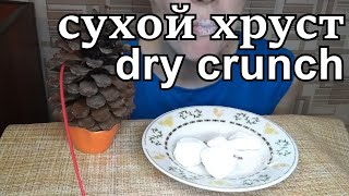 Мел Песчанка Сухой хруст  Chalk Gerbil Dry crunch  चाक गेरबिल ड्राई क्रंच [upl. by Adaline]