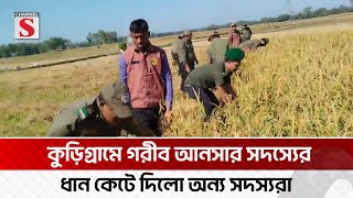 ফুলবাড়ীতে গরীব আনসার সদস্যের ধান কেটে দিলো অন্য আনসার সদস্যরা  Kurigram  Ansar  Channel S News [upl. by Enaffit]