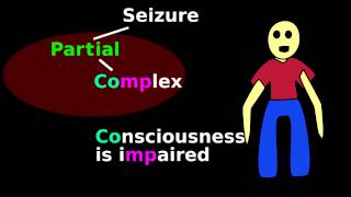 Seizure classifications types for neuroscience pathology student Tonic Clonic etc [upl. by Gnohc]