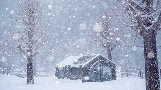 Camping in Heavy Snow  In a perfect air tent that feels like home cozy camping  snow asmr [upl. by Adelbert594]