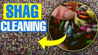 How to Clean a Shag rug  Secrets of Shag Rug Cleaning [upl. by Fortunato]