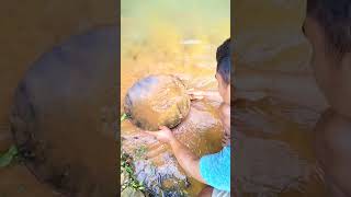 get a lot of gold in super materials🤩🤩 goldpanning foryou goldprospecting shortvideo viralvideo [upl. by Scoter]