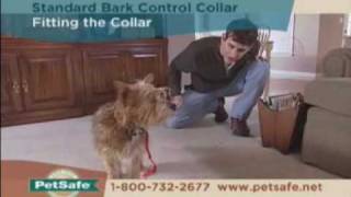 PetSafe Standard Bark Control Collar Tips [upl. by Jewel374]