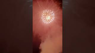 Different types of sky shot fireworks diwali short videoviral videoek trending short [upl. by Osnofedli]