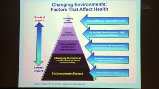 Decreasing Global Noncommunicable Disease by Reducing Risky Behaviors [upl. by Attelocin]