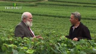 La vigne  les conseils du directeur du vignoble de Veuve Clicquot en Champagne  Truffaut [upl. by Meter601]