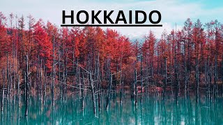 Hokkaido Best Places To Go In 2023 [upl. by Naerda]