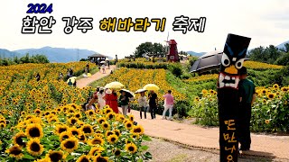 제12회 강주해바라기 축제 다녀왔어요 [upl. by Alyson]