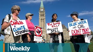 The American money behind the antipipeline fight  The Weekly with Wendy Mesley [upl. by Efinnej488]