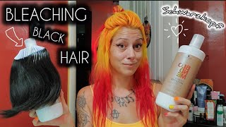 BLEACHING BLACK HAIR with BLONDME SCHWARZKOPF 20 VS 7 VOLUME DEVELOPER [upl. by Gnes]