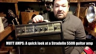 Mutt Amps A quick look at a Stradolin 550R solid state guitarharpkeyboard amplifier [upl. by Enaitsirk260]