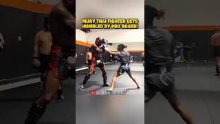 Muay Thai Fighter Gets HUMBLED By Pro Boxer [upl. by Eiznekcam]