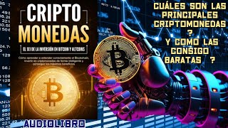 Criptomonedas Simple Y Claro  AudioLibro En Español [upl. by Hsirt]