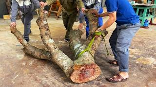 Extremely Unique 2000 USD Coffee Table Made From Ugly Large Tree Trunks  Masterpiece of Natural [upl. by Julee973]