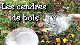 Permaculture amp Jardin potager  Les Cendres de Bois Comment les utiliser pourquoi amp quand [upl. by Sammy]