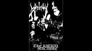 Watain  Transilvanian Hunger Darkthrone Cover [upl. by Otipaga]