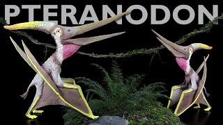 CollectA ® Pteranodon  Neuheit 2021 New  Review Deutsch  German [upl. by Griz]