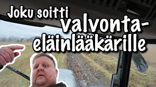 Ekat auraukset ja valvontaeläinlääkäri [upl. by Aramoj637]