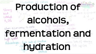 Production of Alcohols Fermentation and Hydration  Revision for Chemistry ALevel and IB [upl. by Lawry397]