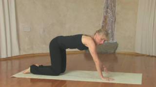 Yoga Chaturanga Dandasana [upl. by Eselahc]