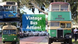 ⁴ᴷOTVCNSW Vintage Bus Action 2023 [upl. by Ttelracs278]