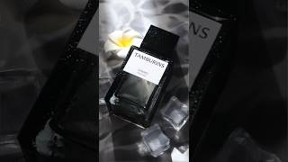 Tamburins Chamo review under 1 minute scent fragrance tamburins [upl. by Novled]