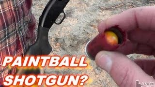 Shooting PAINTBALL from 12ga Shotgun [upl. by Uol]