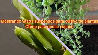 Mostrando vasos suspensos com plantas pendentes Ótimo para pouco espaço [upl. by Val]